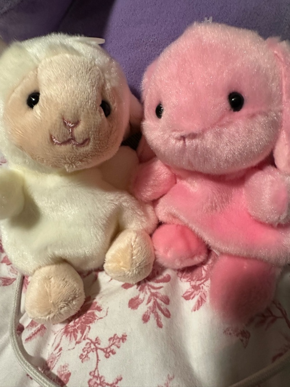 Meet your Posher, Tanya